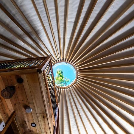 Yourtes Glamping Du Poisson Blanc Notre-Dame-du-Laus Экстерьер фото